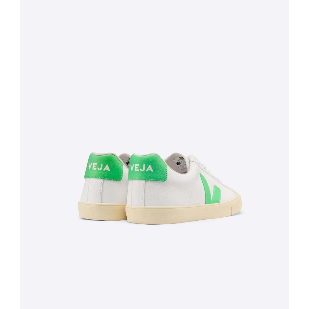 Veja ESPLAR CHROMEFREE Men's Shoes White/Green | NZ 192EBC